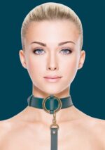 collier laisse halo col bleu 4