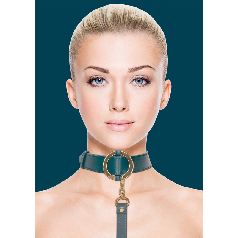 collier laisse halo col bleu 4
