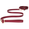 collier laisse halo col rouge