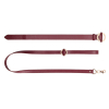 collier laisse halo col rouge 2