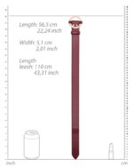 collier laisse halo col rouge 3