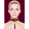 collier laisse halo col rouge 4