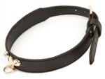 collier laisse master me noir 1