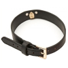 collier laisse master me noir 2