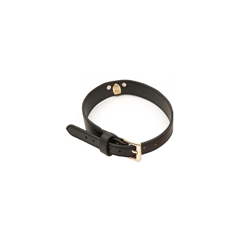 collier laisse master me noir 2