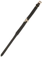 collier laisse master me noir 3