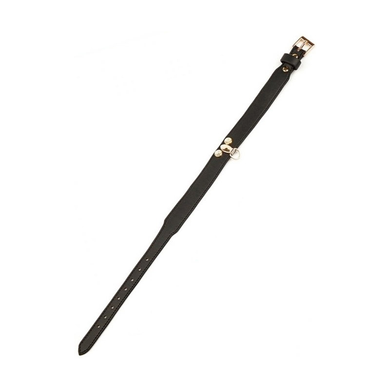 collier laisse master me noir 3