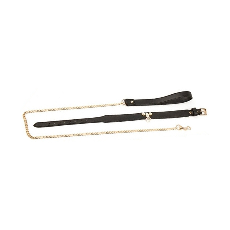 collier laisse master me noir 4