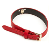 collier laisse master me rouge 1