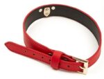 collier laisse master me rouge 1