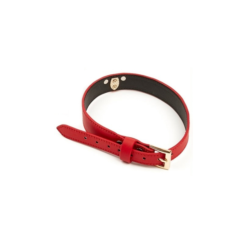 collier laisse master me rouge 1