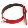collier laisse master me rouge 2