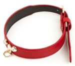 collier laisse master me rouge 2