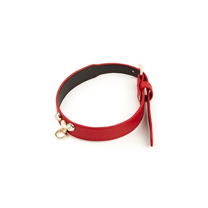 collier laisse master me rouge 2