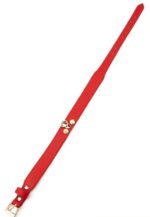 collier laisse master me rouge 3