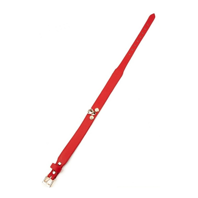 collier laisse master me rouge 3