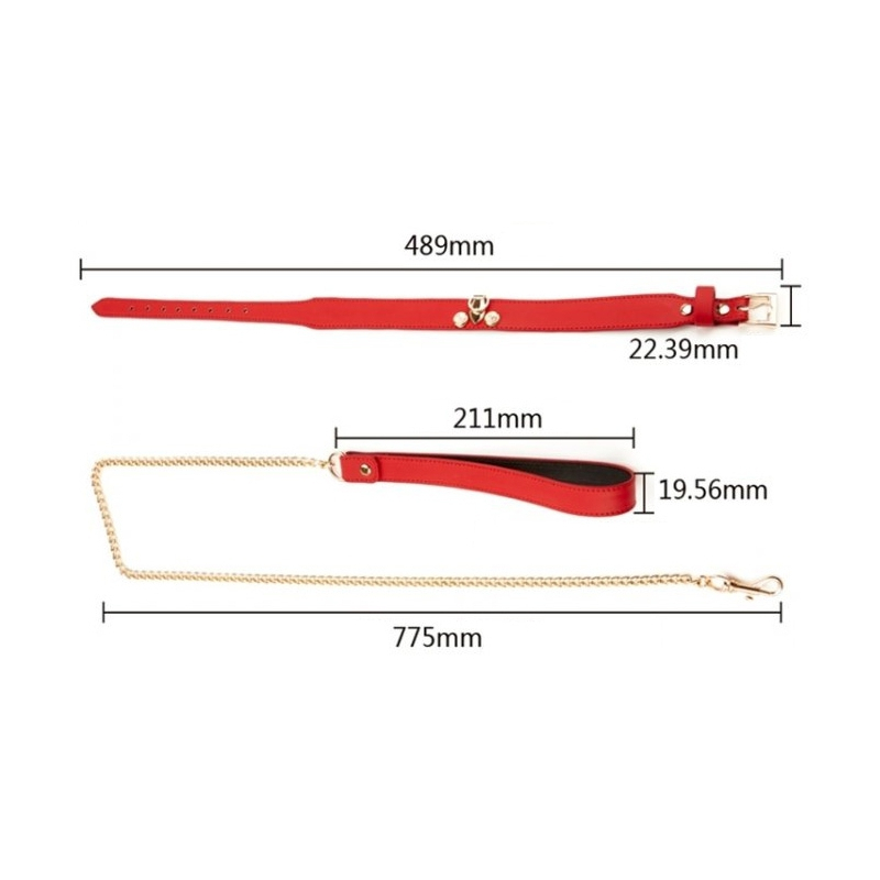 collier laisse master me rouge 5