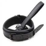 collier laisse noir