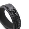 collier laisse noir 2