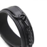 collier laisse noir 2
