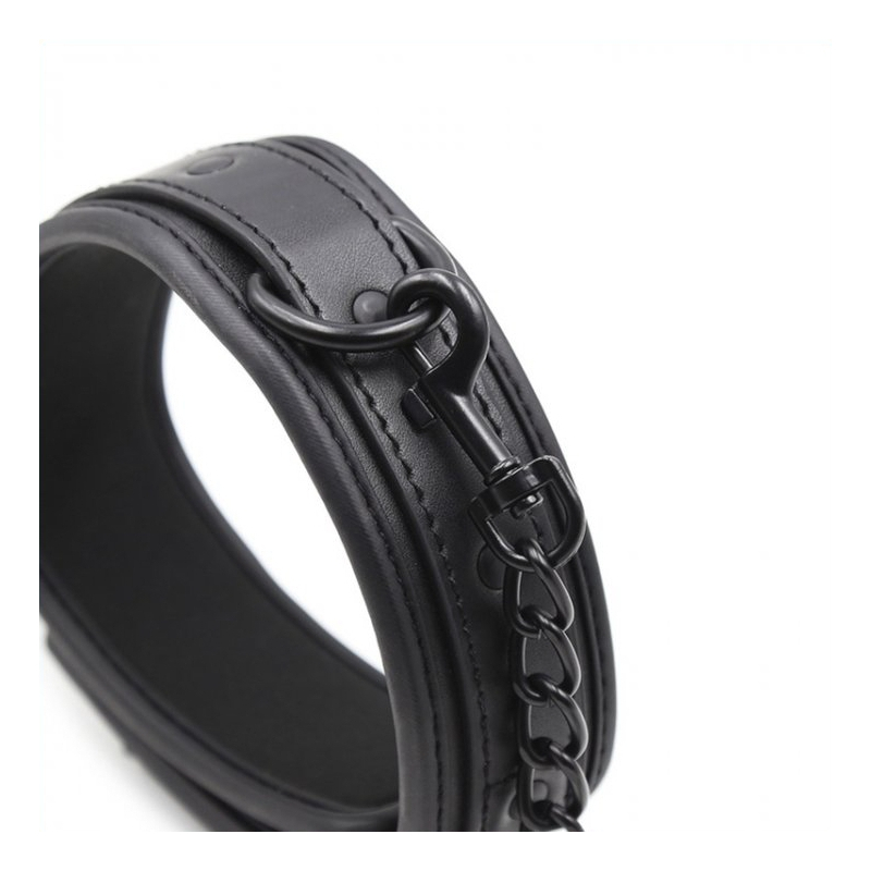 collier laisse noir 2