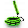 collier laisse phosphorescent glow