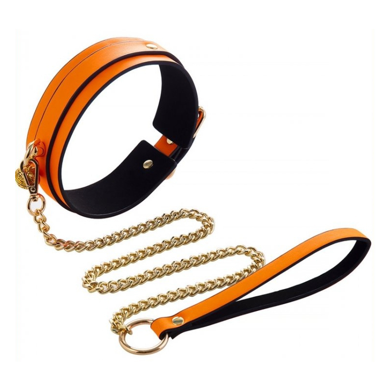 collier laisse phosphorescent luminous orange 1