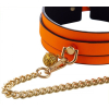 collier laisse phosphorescent luminous orange 2