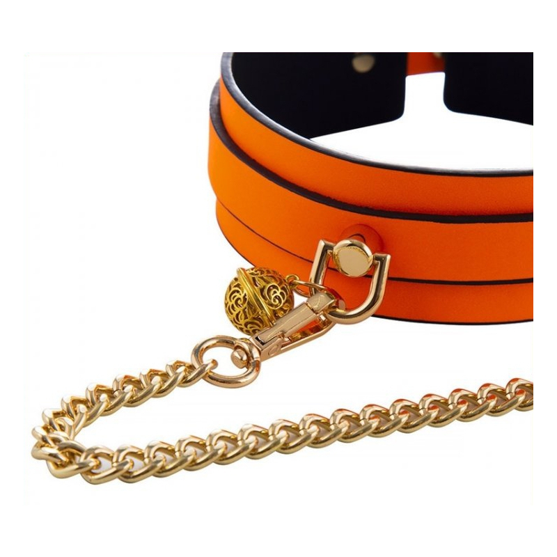 collier laisse phosphorescent luminous orange 2