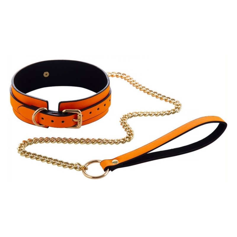 collier laisse phosphorescent luminous orange