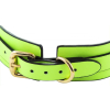 collier laisse phosphorescent luminous vert 2