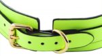 collier laisse phosphorescent luminous vert 2