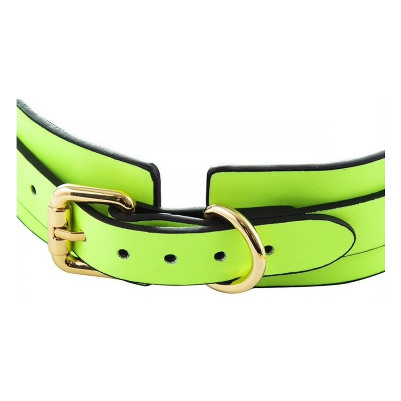 collier laisse phosphorescent luminous vert 2