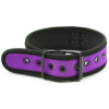 collier neoprene simply puppy violet 1