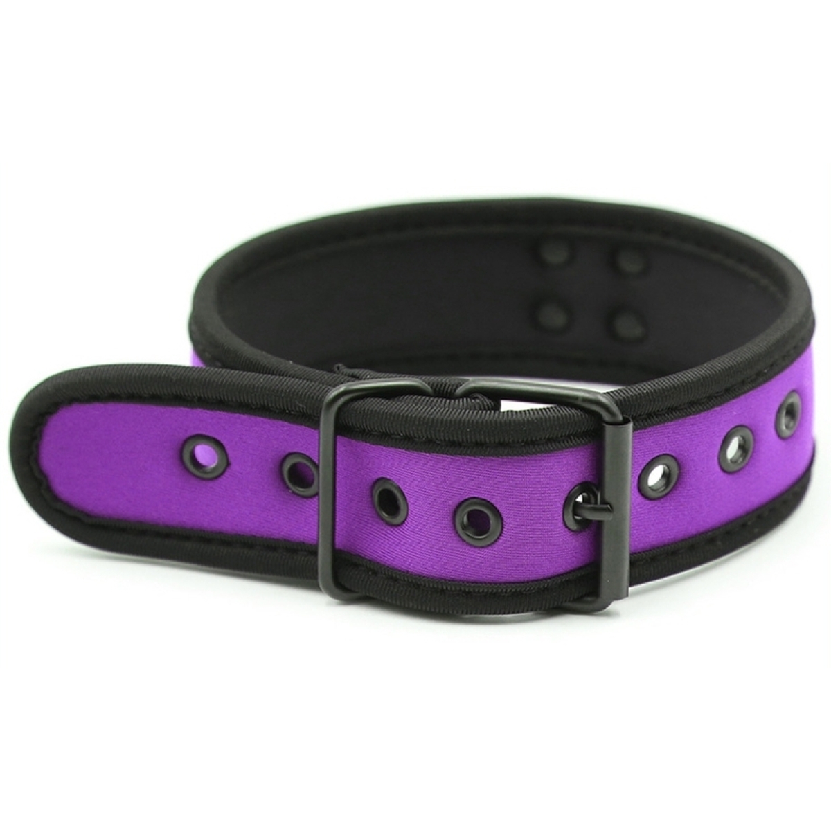 collier neoprene simply puppy violet 1