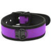 collier neoprene simply puppy violet