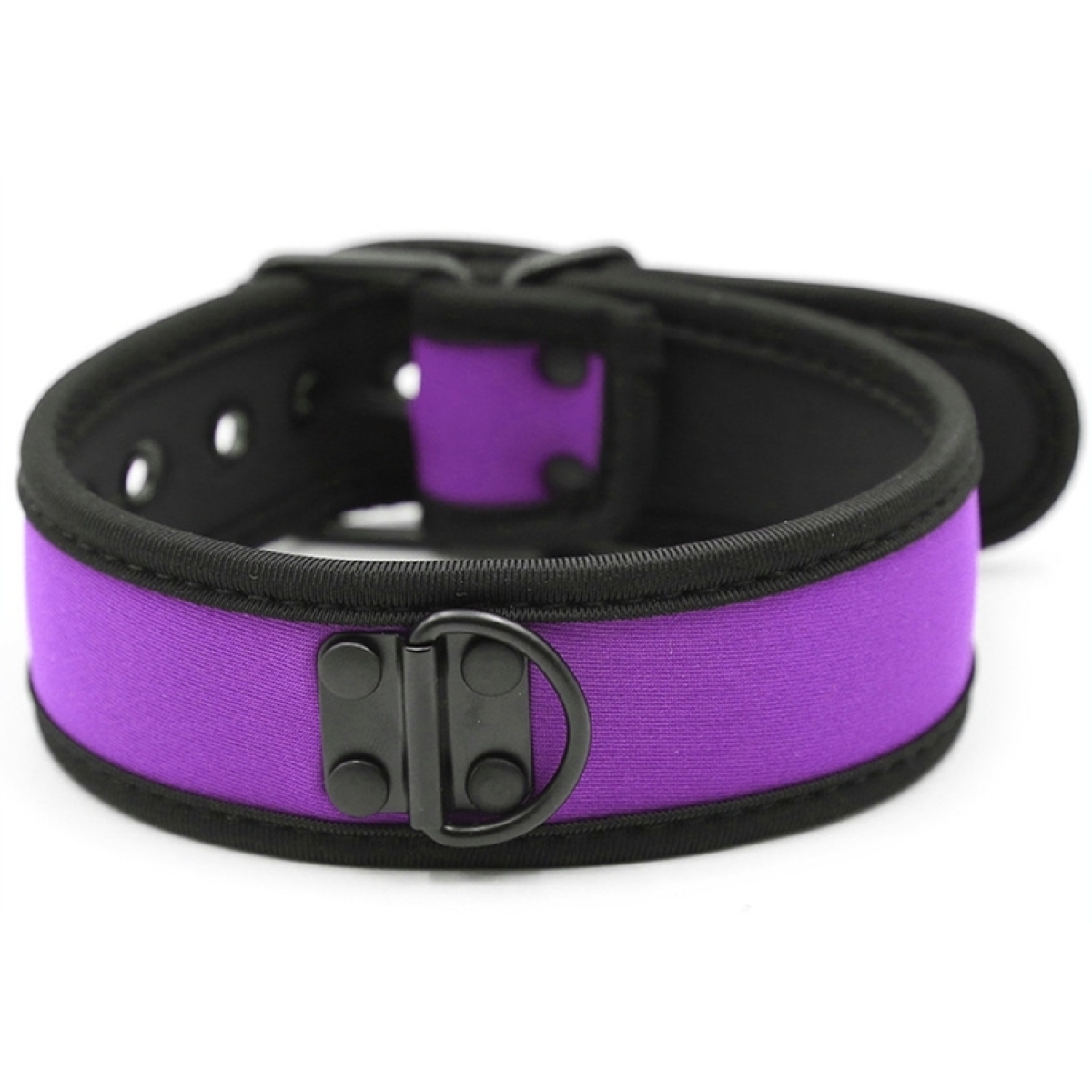 collier neoprene simply puppy violet
