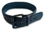 collier puppy collar noir 1