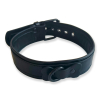 collier puppy collar noir