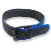 collier puppy collar noir bleu 1