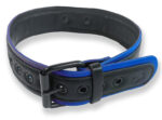 collier puppy collar noir bleu 1