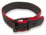 collier puppy collar noir rouge 1