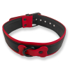 collier puppy collar noir rouge