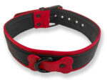 collier puppy collar noir rouge