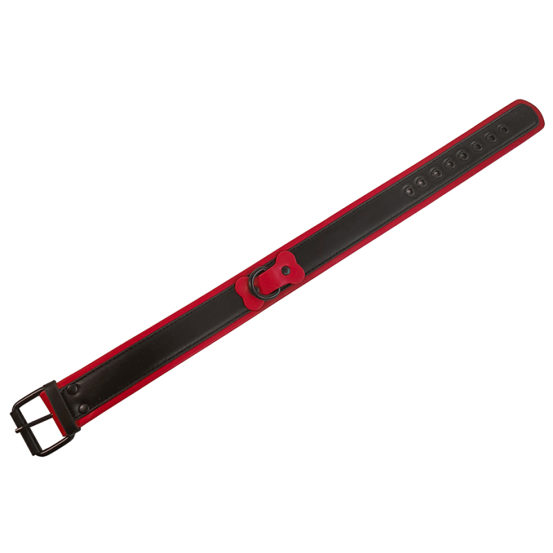 collier puppy collar noir rouge 2