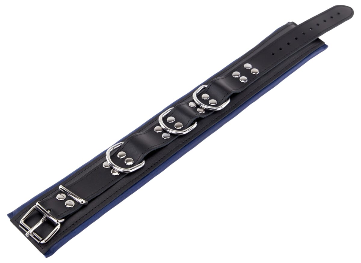 collier rembourre en cuir 3 anneaux d bleu 2 scaled