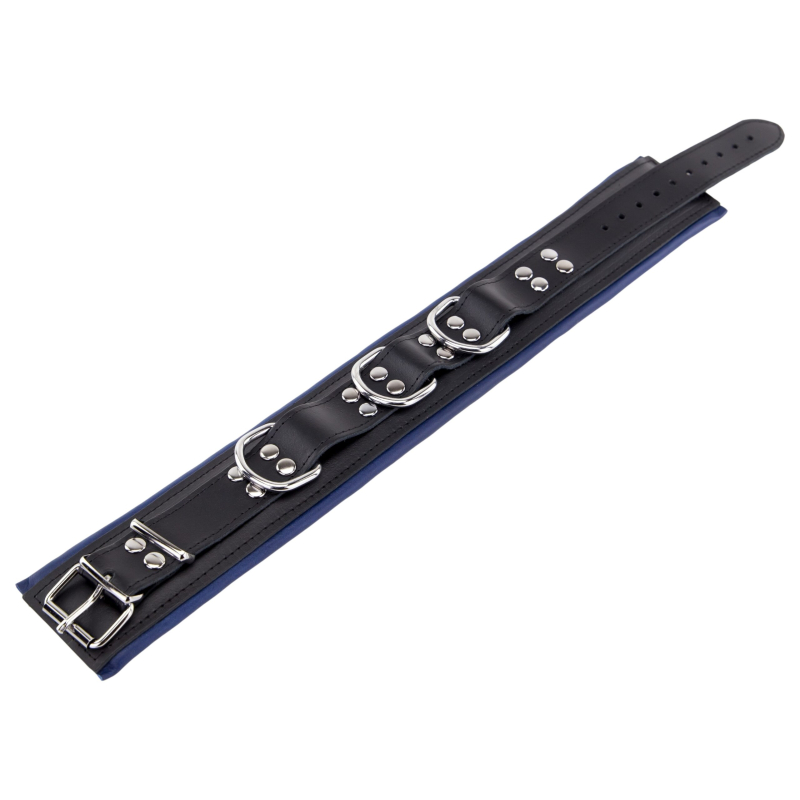 collier rembourre en cuir 3 anneaux d bleu 2 scaled