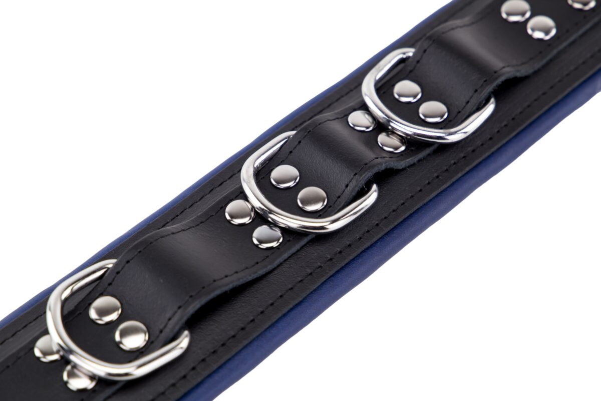 collier rembourre en cuir 3 anneaux d bleu 3 scaled