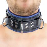 collier rembourre en cuir 3 anneaux d bleu 7