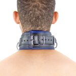 collier rembourre en cuir 3 anneaux d bleu 8 scaled